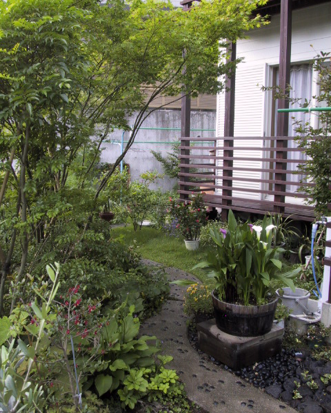 神奈川県逗子市　2005年