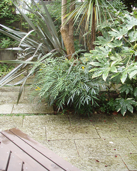 神奈川県鎌倉市　2005年