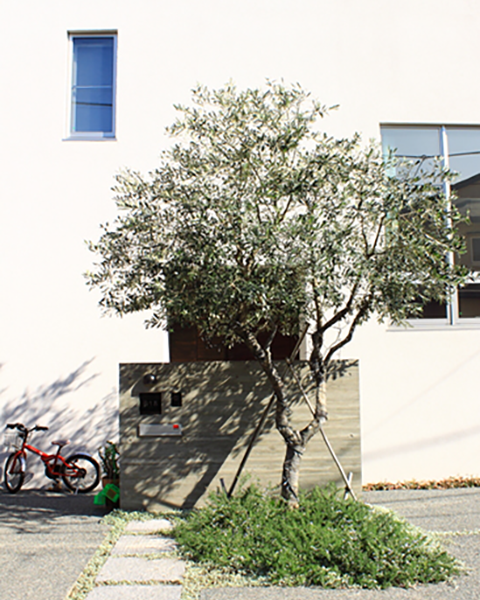 神奈川県藤沢市　2009年