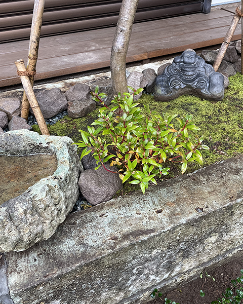 神奈川県鎌倉市　2022年