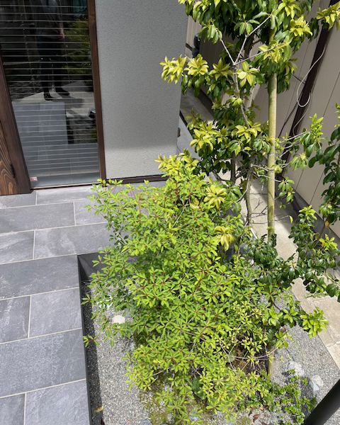 神奈川県逗子市　2024年